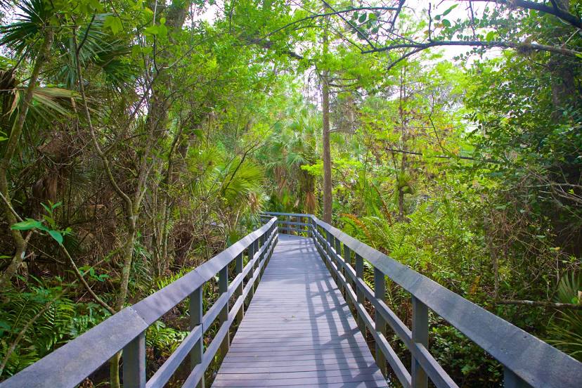 Fern Forest Nature Center