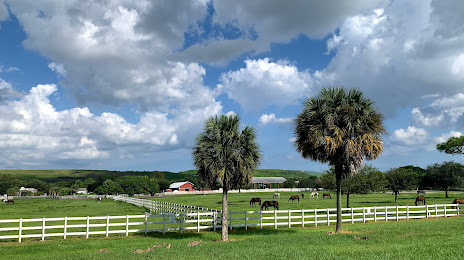 Tradewinds Park & Stables